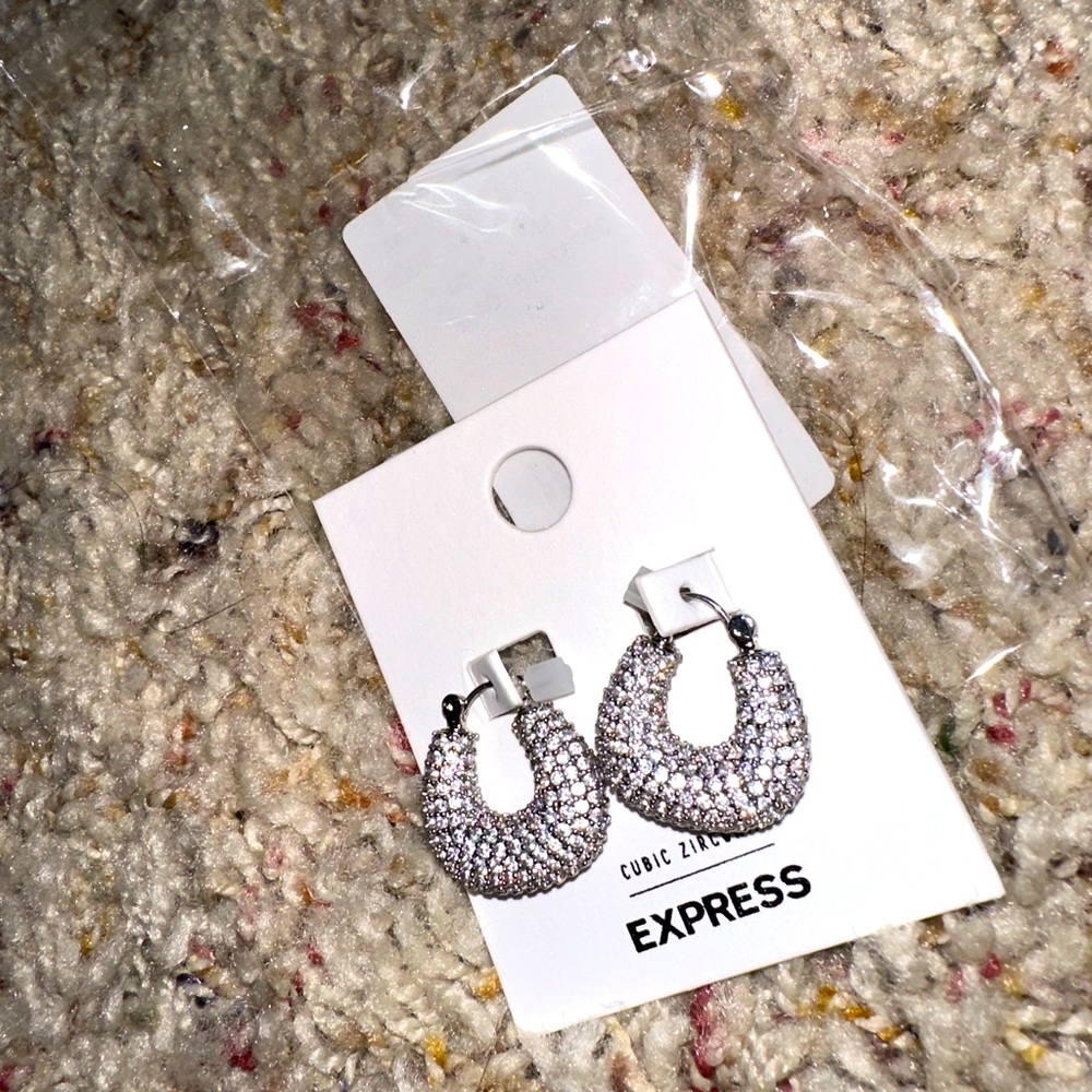 NWT express Mini Rhinestone Pave Hoop Earrings